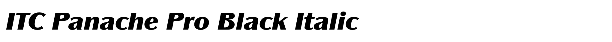 ITC Panache Pro Black Italic image